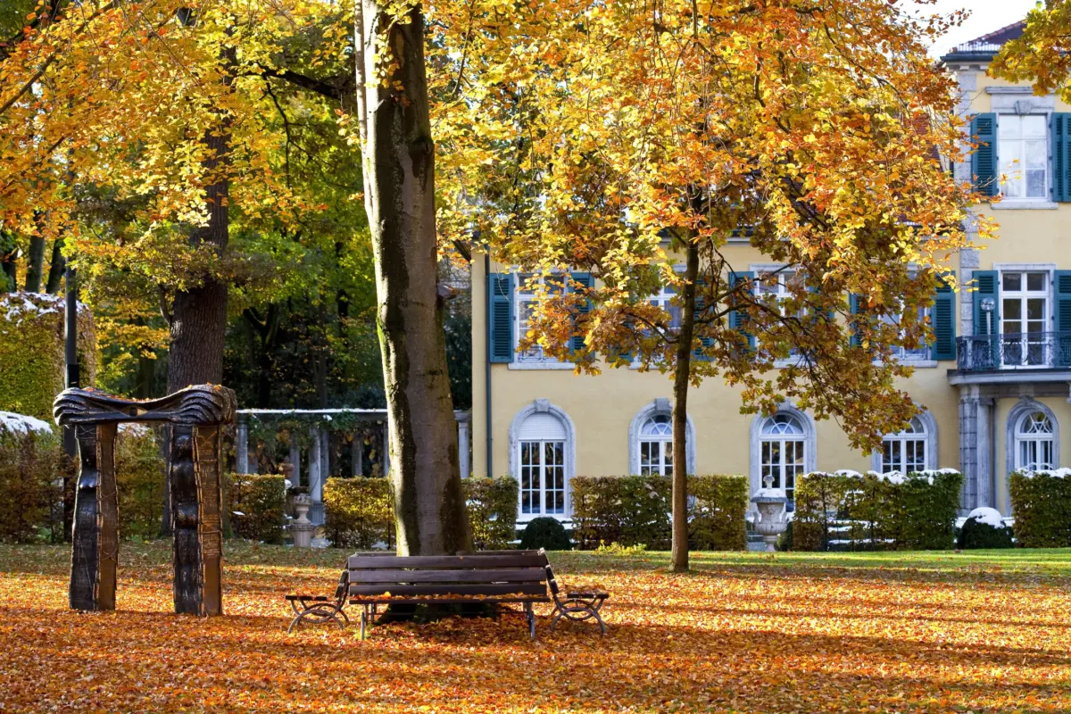 Schlosspark im Herbst - Tagungszentrum München